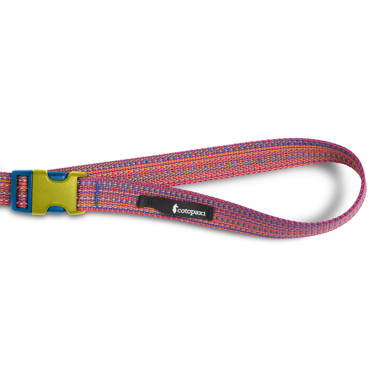 Del Día Dog Leash