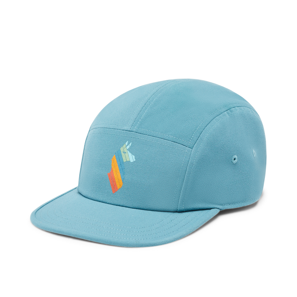 Llama Stripes 5-Panel Hat