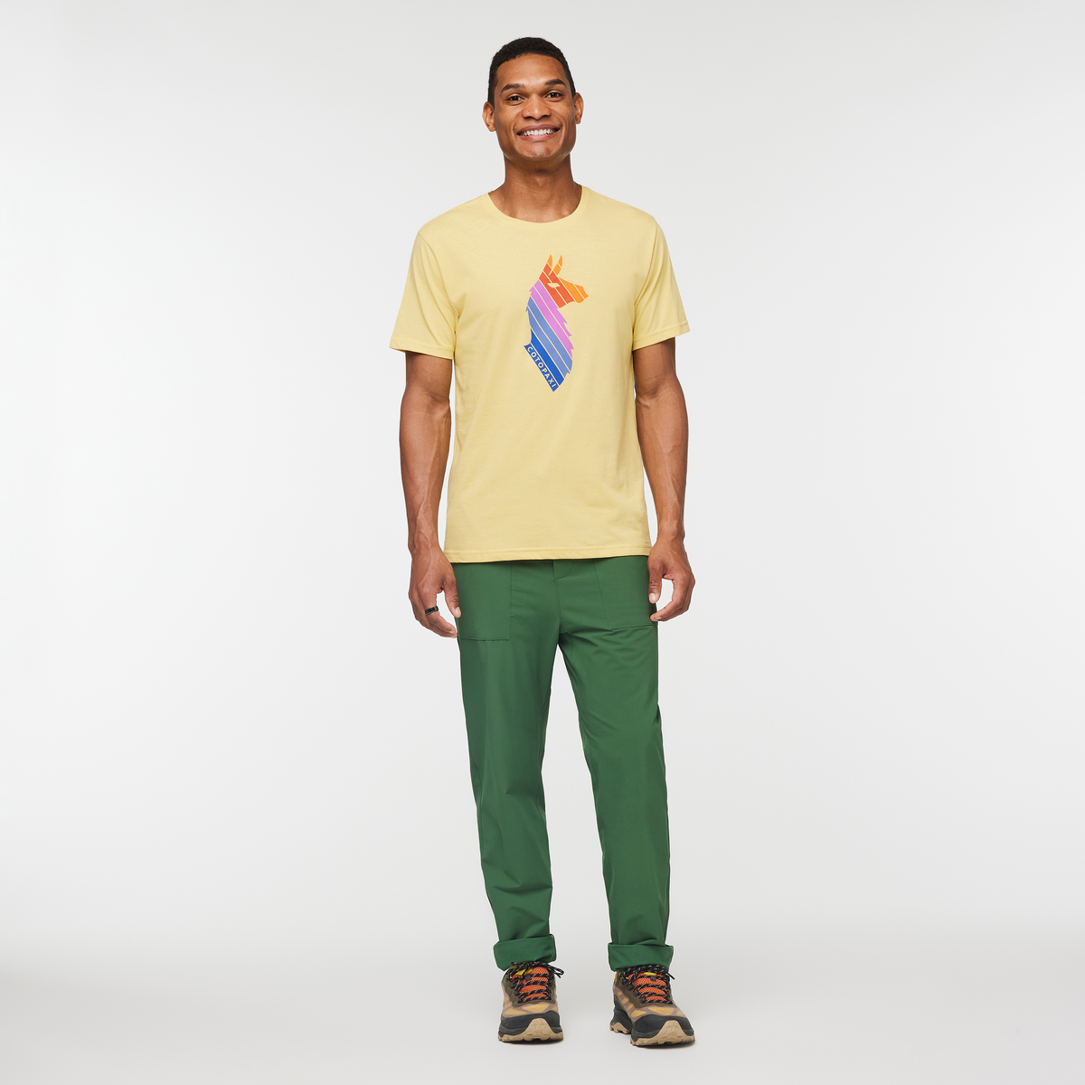 Llama Stripes T-Shirt - Men's
