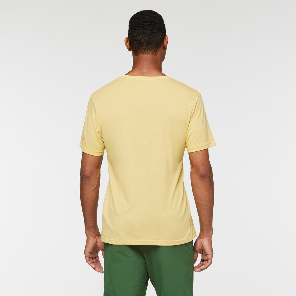 Llama Stripes T-Shirt - Men's