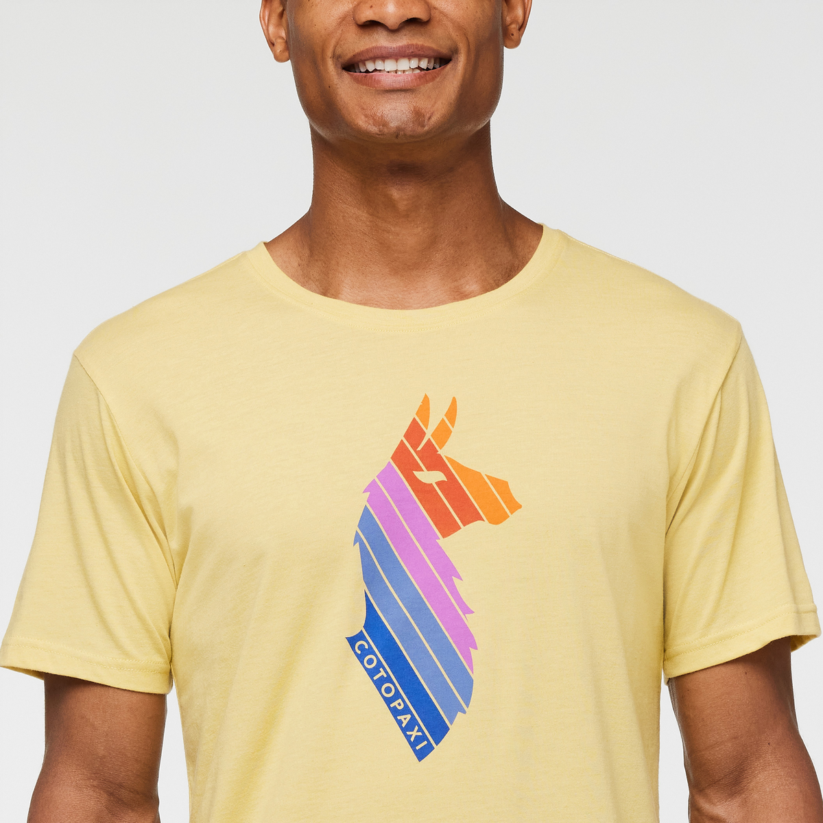 Llama Stripes T-Shirt - Men's