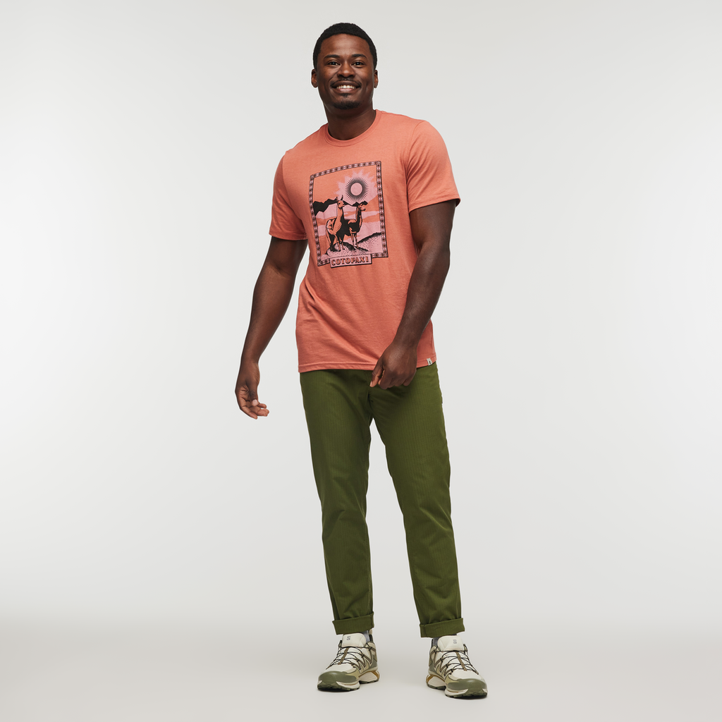 Llama Greetings T-Shirt - Men's